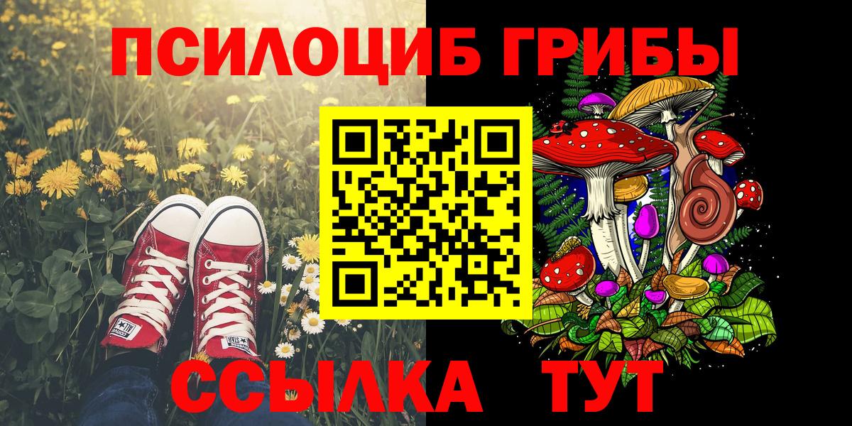 Луга  Галлюциногенные грибы прущие грибы  Вход с VPN 