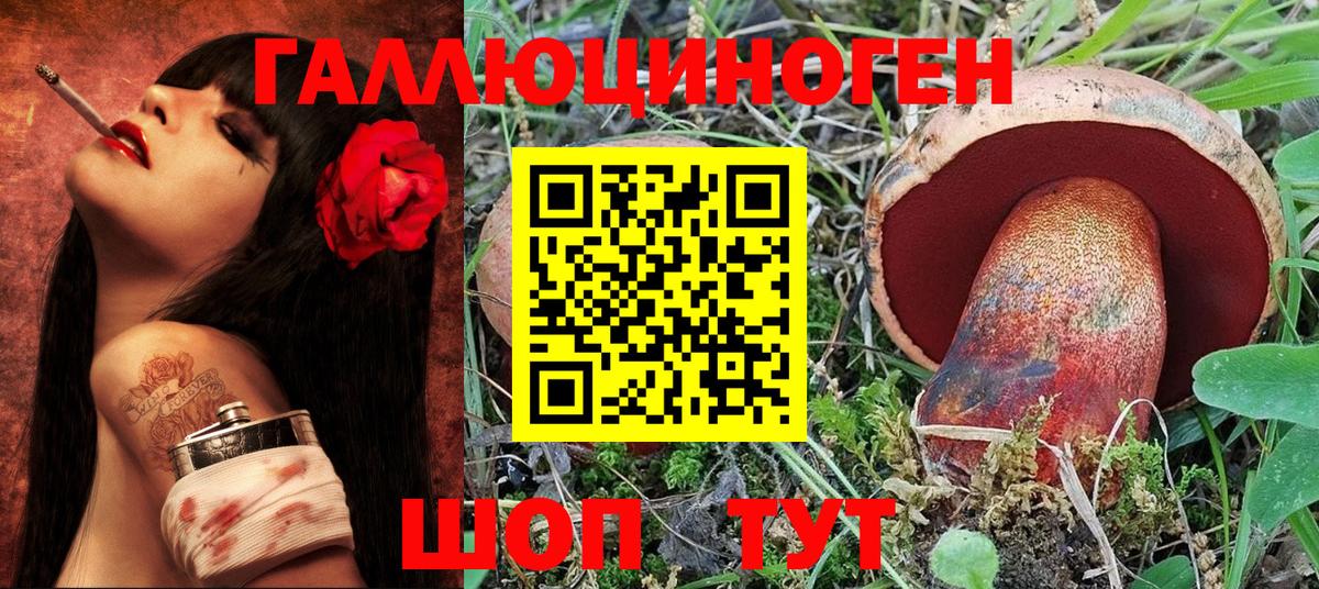 Псилоцибиновые грибы Psilocybe Луга